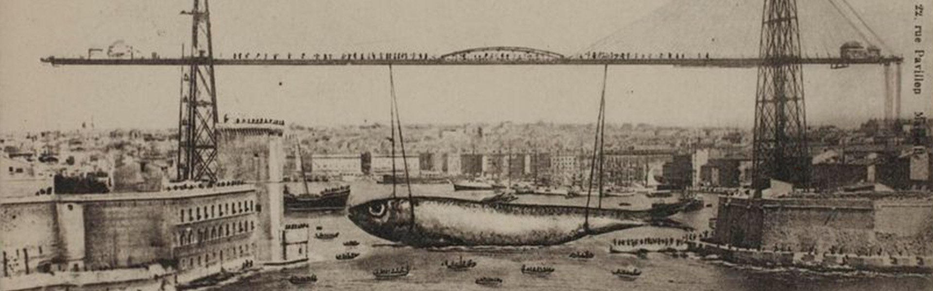 Il était une fois une sardine qui aurait bouché le port de Marseille…
